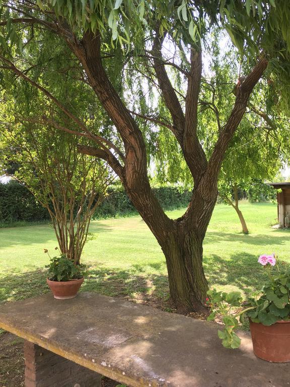 Villa Favilli Pisa Luaran gambar
