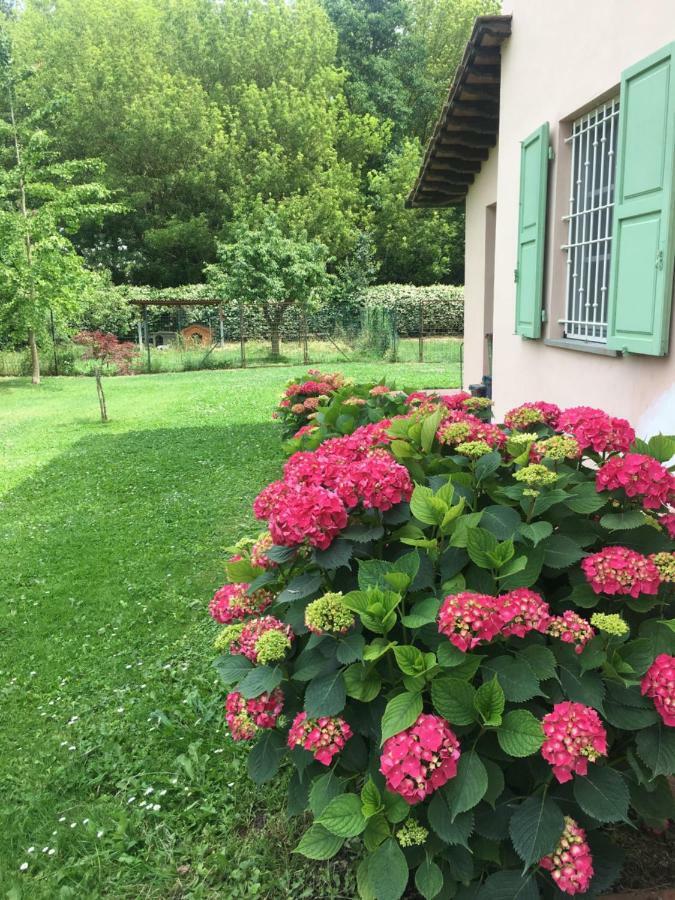Villa Favilli Pisa Luaran gambar